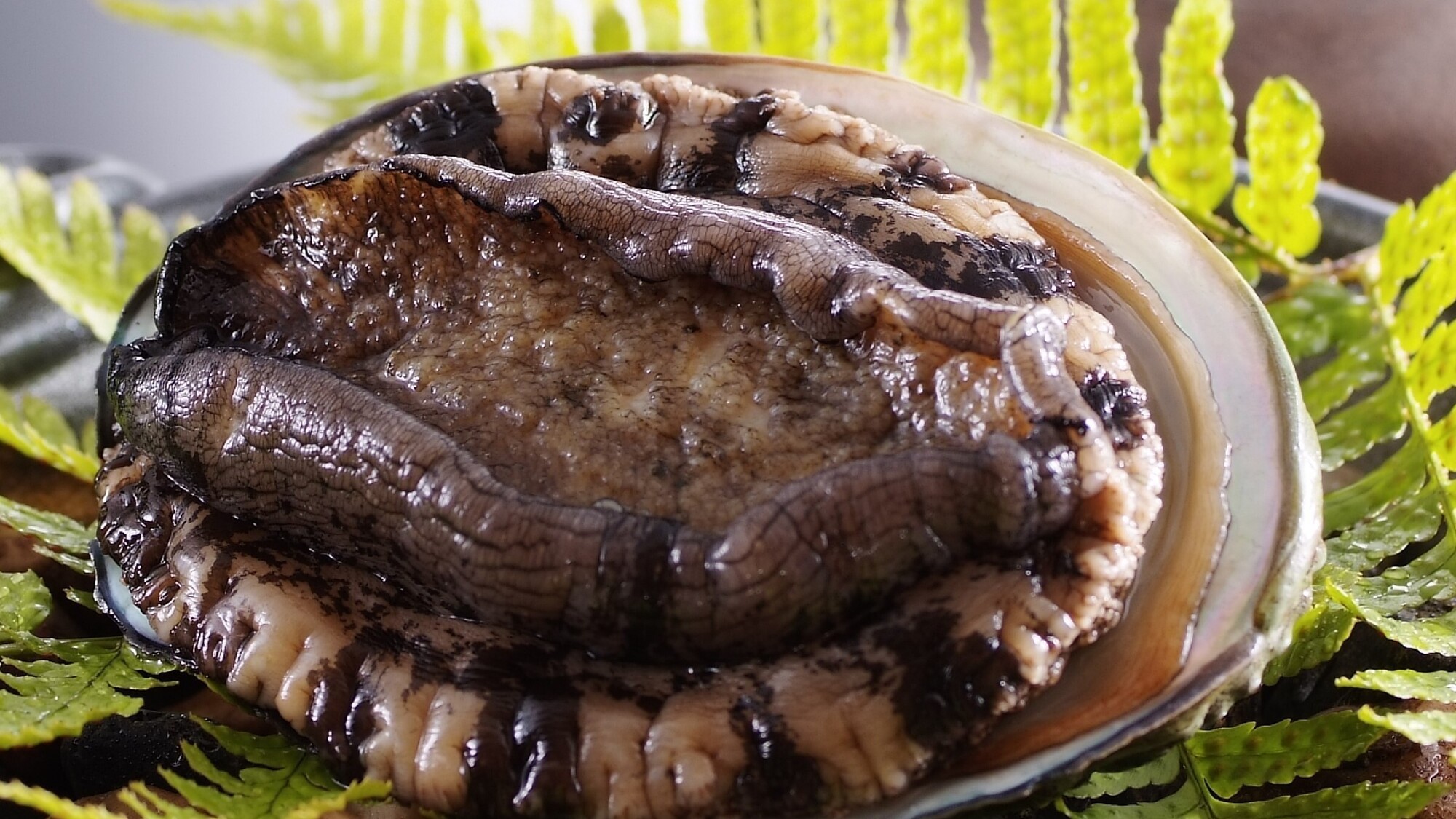 【お盆（8/9〜17）限定/ワンランクアップ】焼きアワビ×夏の創作会席