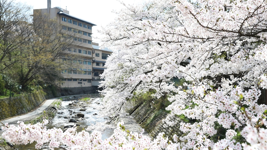 外観（春/4月上旬頃）※気候によっては見頃時期が前後します