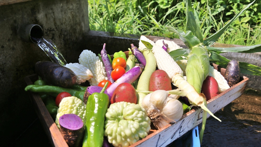 【新鮮な野菜】澄んだ空気、広大な緑が広がる兵庫県・但馬地区でのびのびと育った新鮮野菜