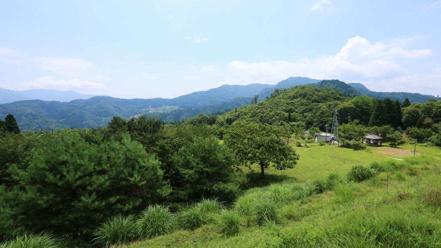 【地元銘柄・但馬牛】但馬牛は澄んだ空気、広大な緑が広がる兵庫県・但馬地区でのびのびと育ちます
