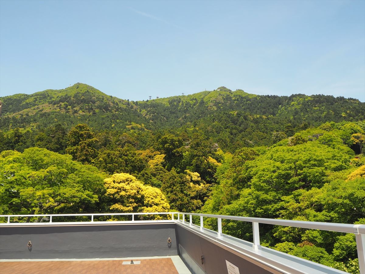 【新緑の眺めを堪能】屋上で筑波山のパワーを浴びて元気になろう。1泊2食創作和食プラン　夕食会場個室
