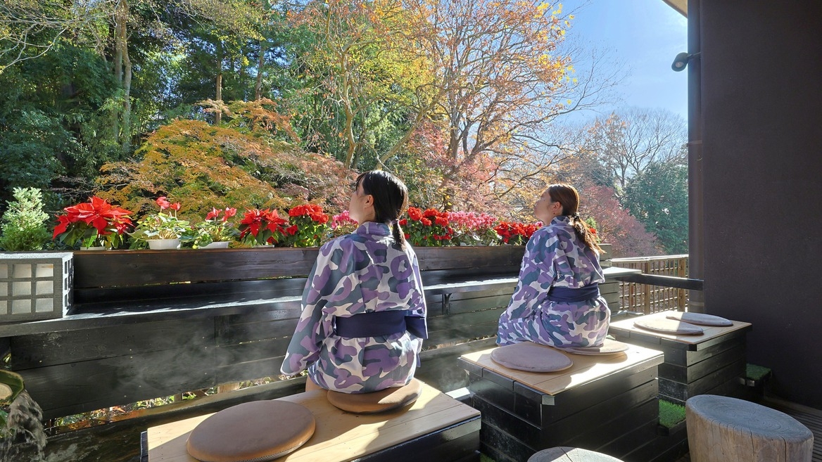 【素泊まり】お気軽に筑波山温泉を過ごす（食事なし）