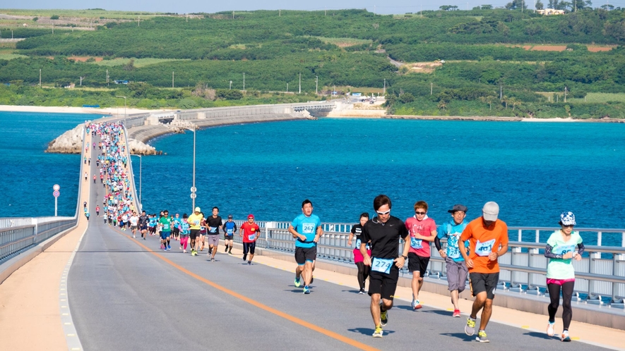 【イベント】宮古島100kmワイドーマラソン（1月）