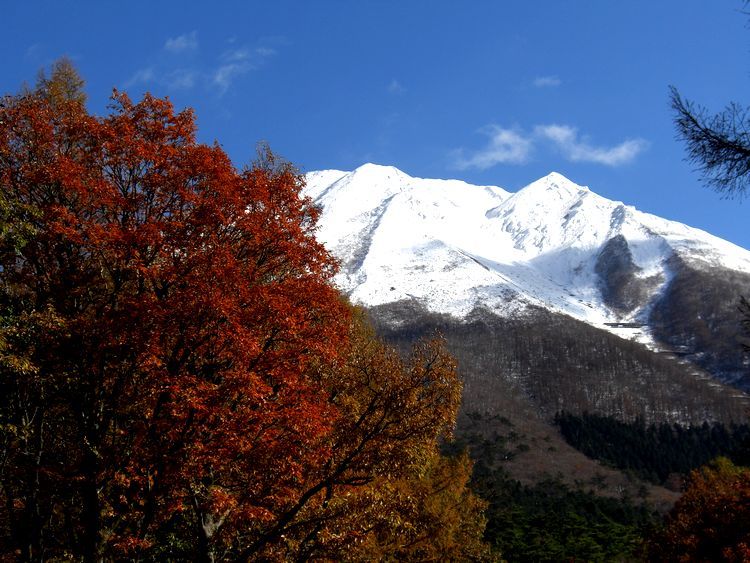 Mt. Daisen autumn leaves and snow