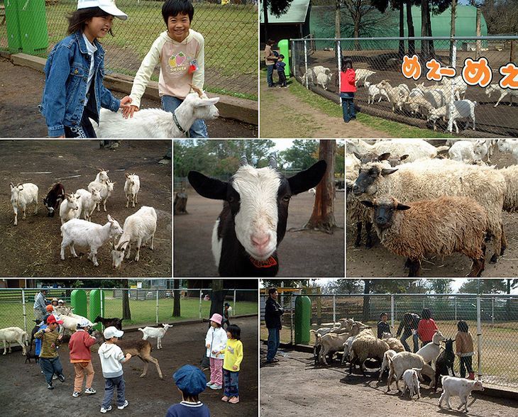 Tom Sawyer Ranch