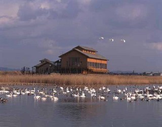 水鳥公園