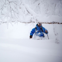 【ゲレンデ】新雪降り積もるオフピステ（非圧雪）ゾーンは年に数回このボリューム！