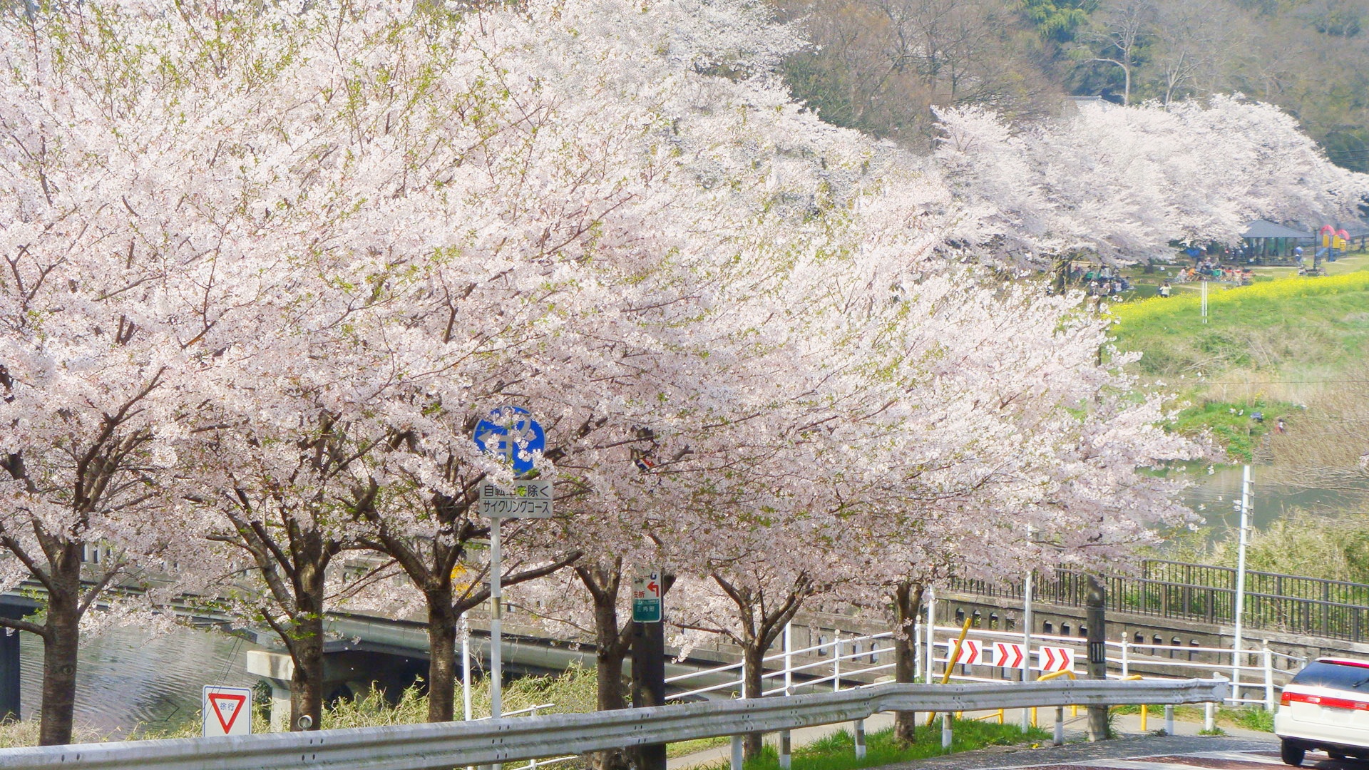 花鳥公園☆