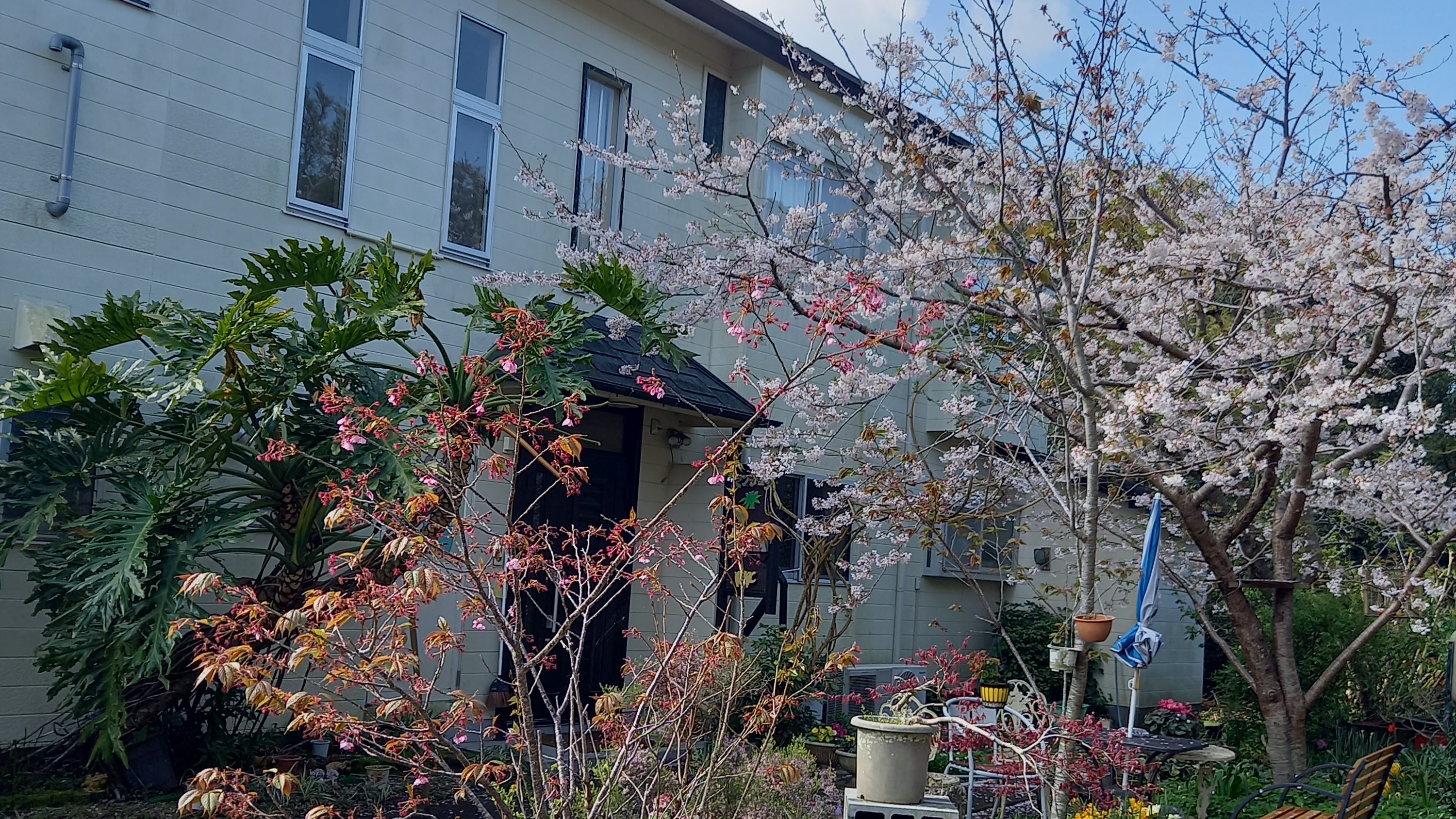 *【外観】四季折々の景色が楽しめる宿のエントランス。