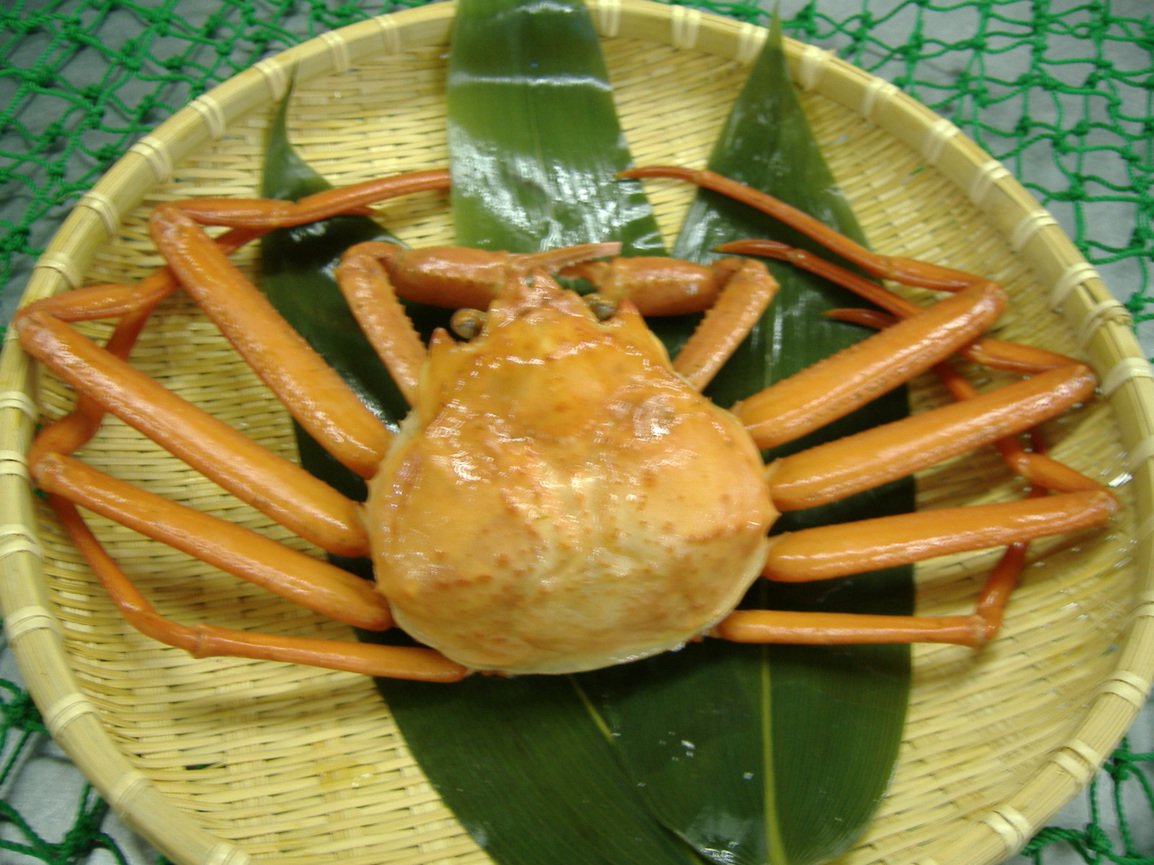 【2食付】サザエのつぼ焼きとカニ１杯付!質の高い料理で佐渡の幸堪能！【両津港〜車約5分】