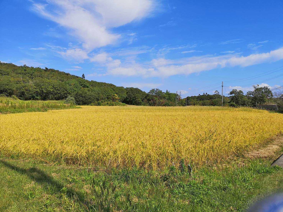 【素泊まり】絶景の夕日と漁火の宿◆高台にたたずむ民宿で気軽に佐渡観光を