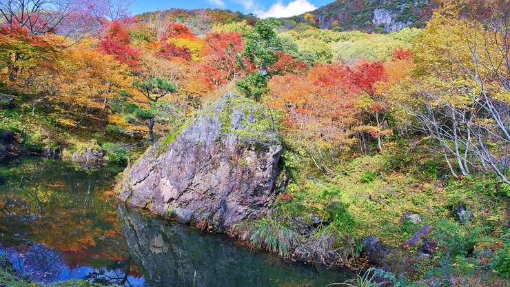 【佐渡の紅葉】ジオパーク認定の佐渡島で楽しむ大迫力の紅葉！創作海鮮料理と一緒に秋を楽しもう♪