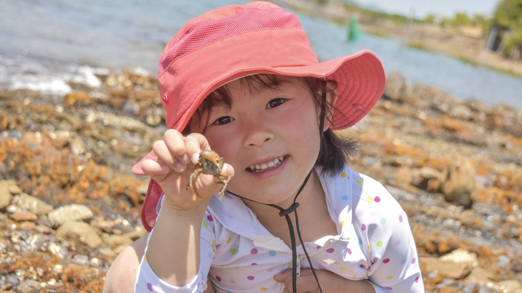 【磯遊び体験】夏休みは佐渡の海で遊ぼう☆採ってきた貝はご夕食とともに召し上がれ♪［一泊二食付］
