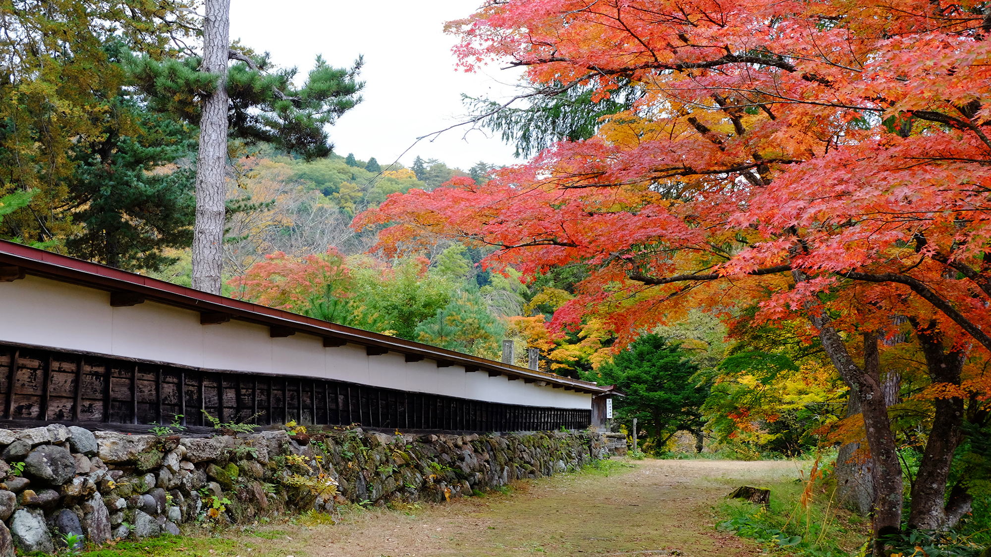 紅葉シーズンの絶景