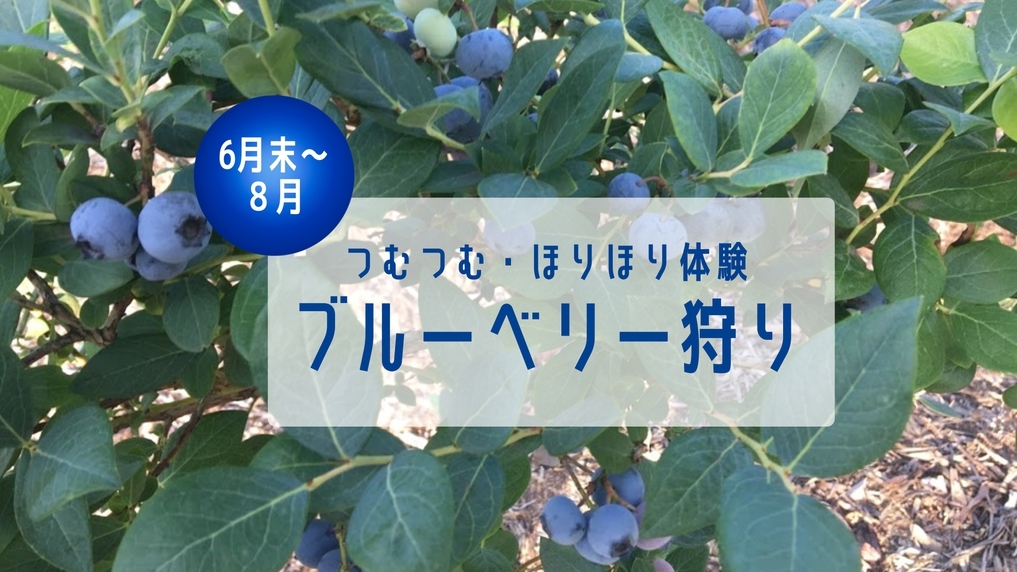 成田ファームランドでつむつむ◎ほりほり体験付ご宿泊プラン(朝食付)