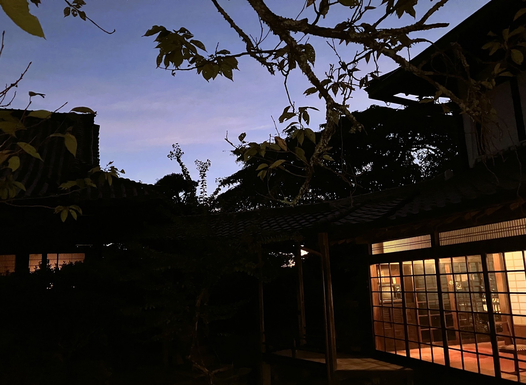 季節の庭を眺めて、心ほどけるひとときを 「ほっとひと息プラン」 〜素泊まり〜