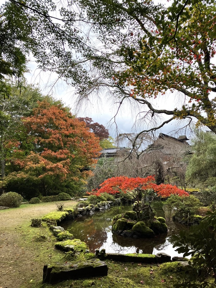 世界遺産「吉野山」で歴史と散策の旅！（1泊2食）