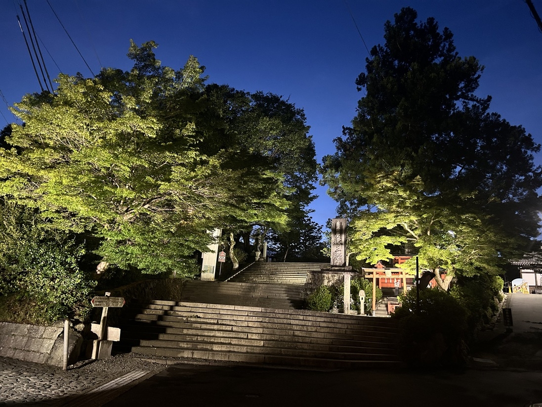 【日程限定】竹林院群芳園で宿泊＿春の金峯山寺蔵王堂 夜間拝感の旅プラン