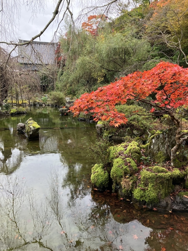 【日程限定】あなたと竹林院群芳園で過ごす、秋の金峯山寺蔵王堂 夜間拝感プラン