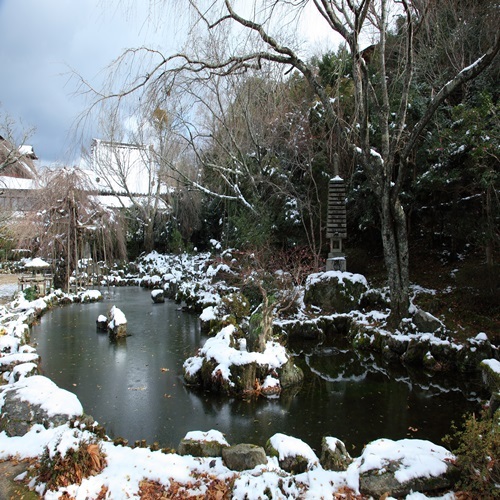 Garden (winter landscape)