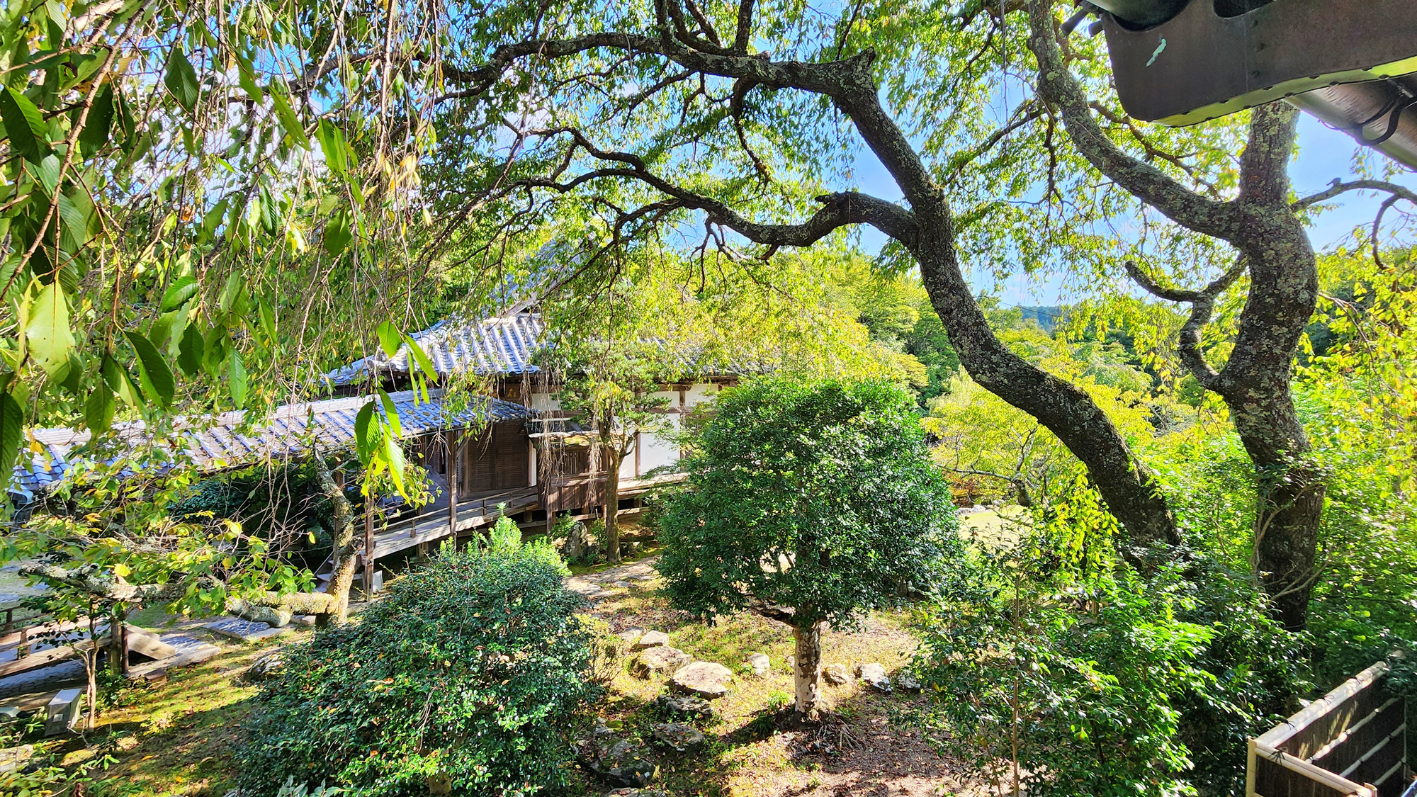 【客室（松の間）】吉野の自然を感じながらお寛ぎください