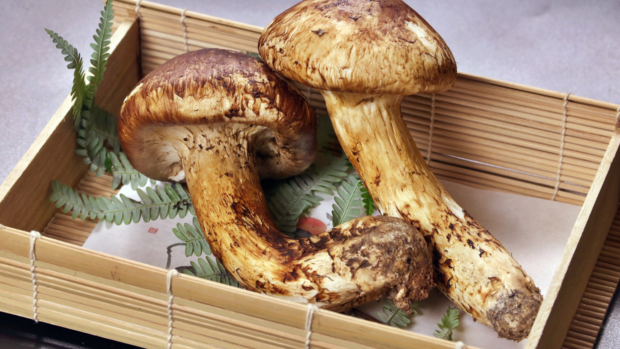 【食事】松茸会席 