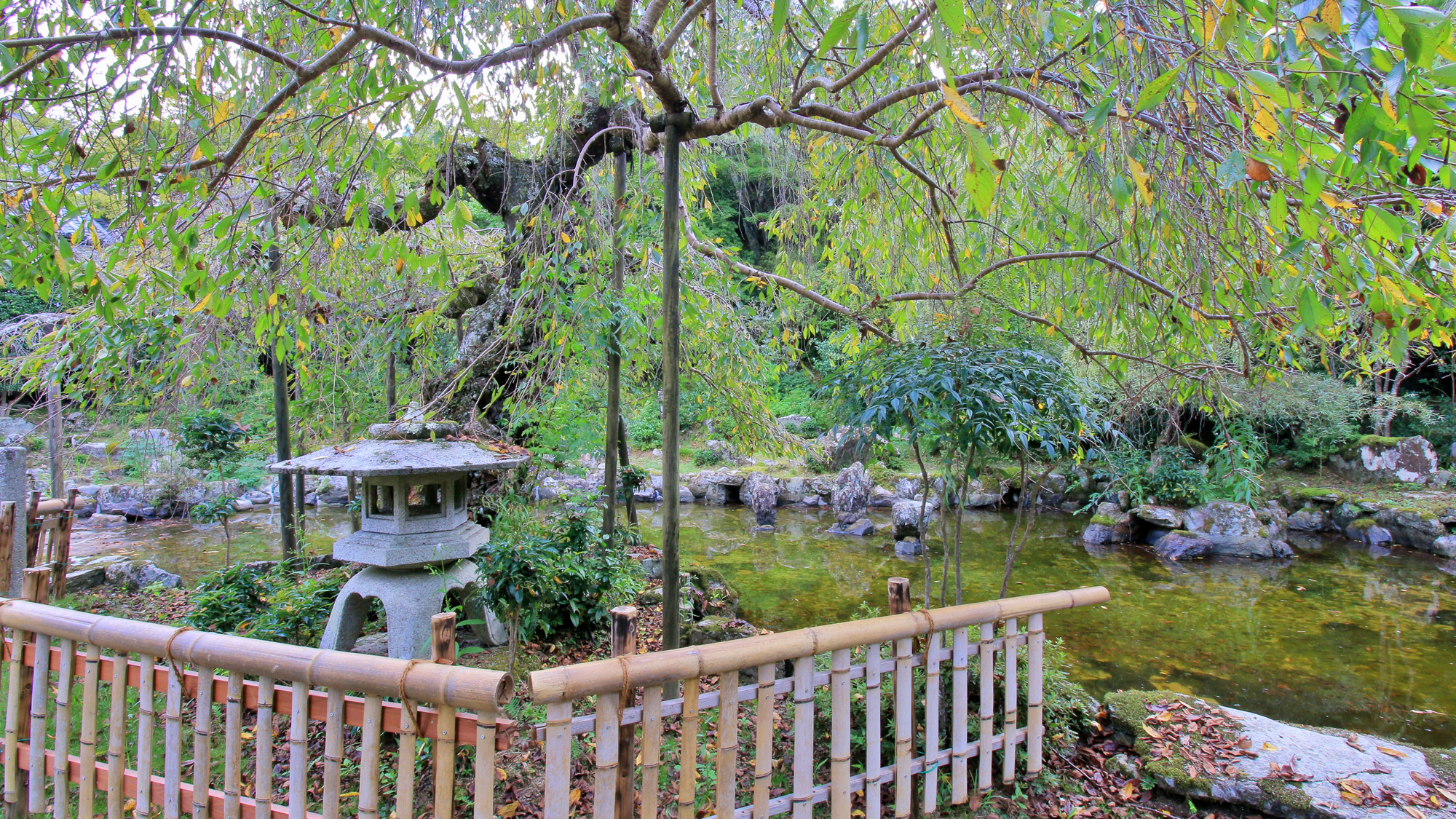 【庭園】美しい自然の中でお寛ぎください