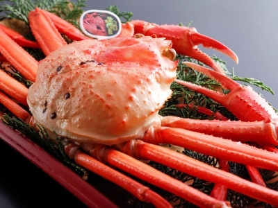 【期間限定】刺し、焼き、鍋　当地ブランド香住蟹づくし(紅ずわいがに)【お1人様に香住蟹2杯相当使用】