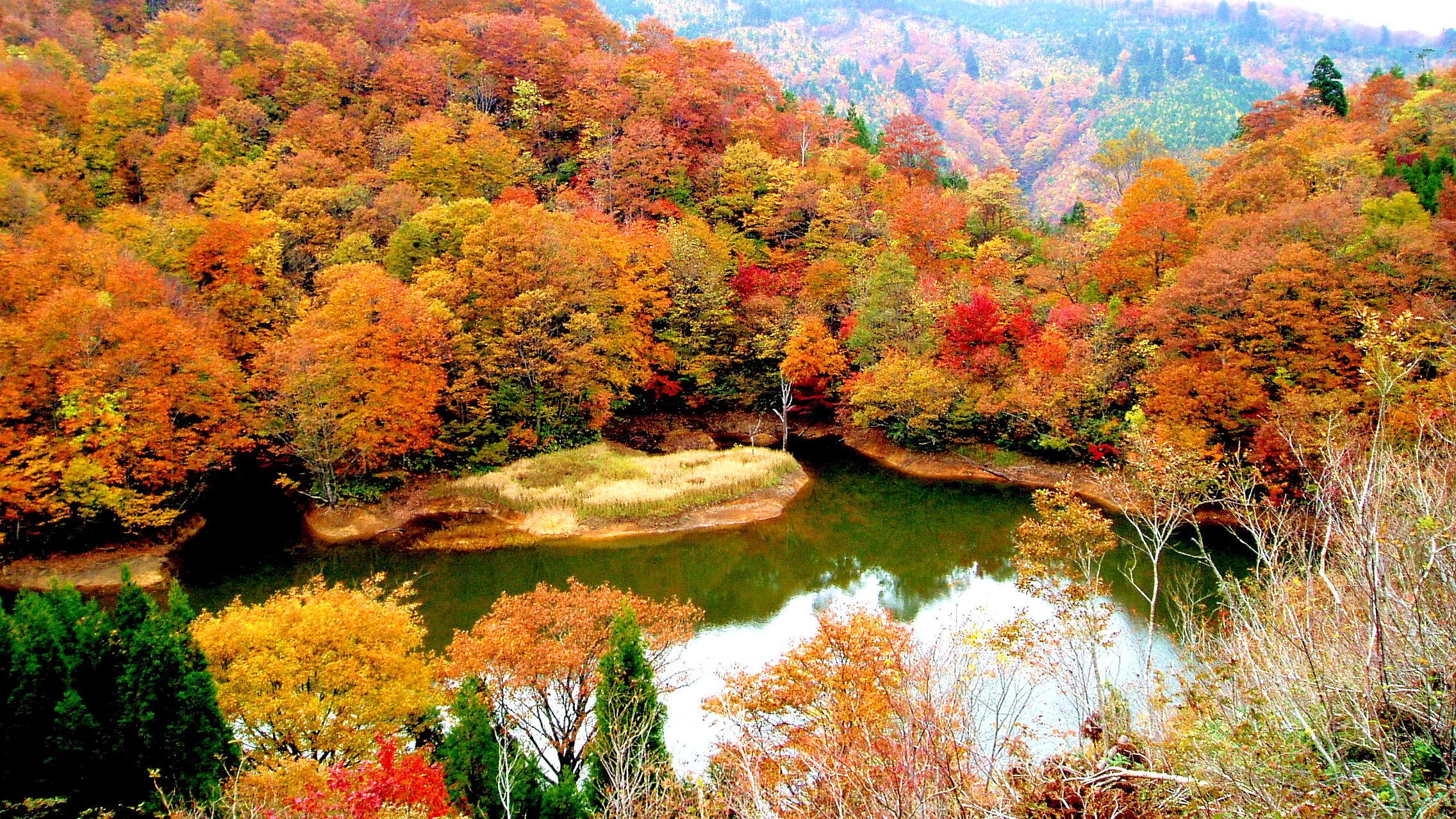 【新温泉町】上山高原