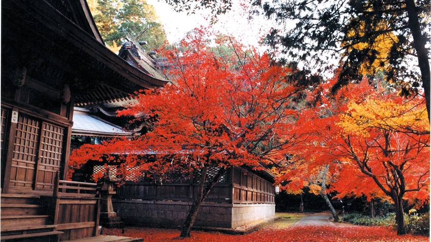 【兵庫県養父市】養父神社