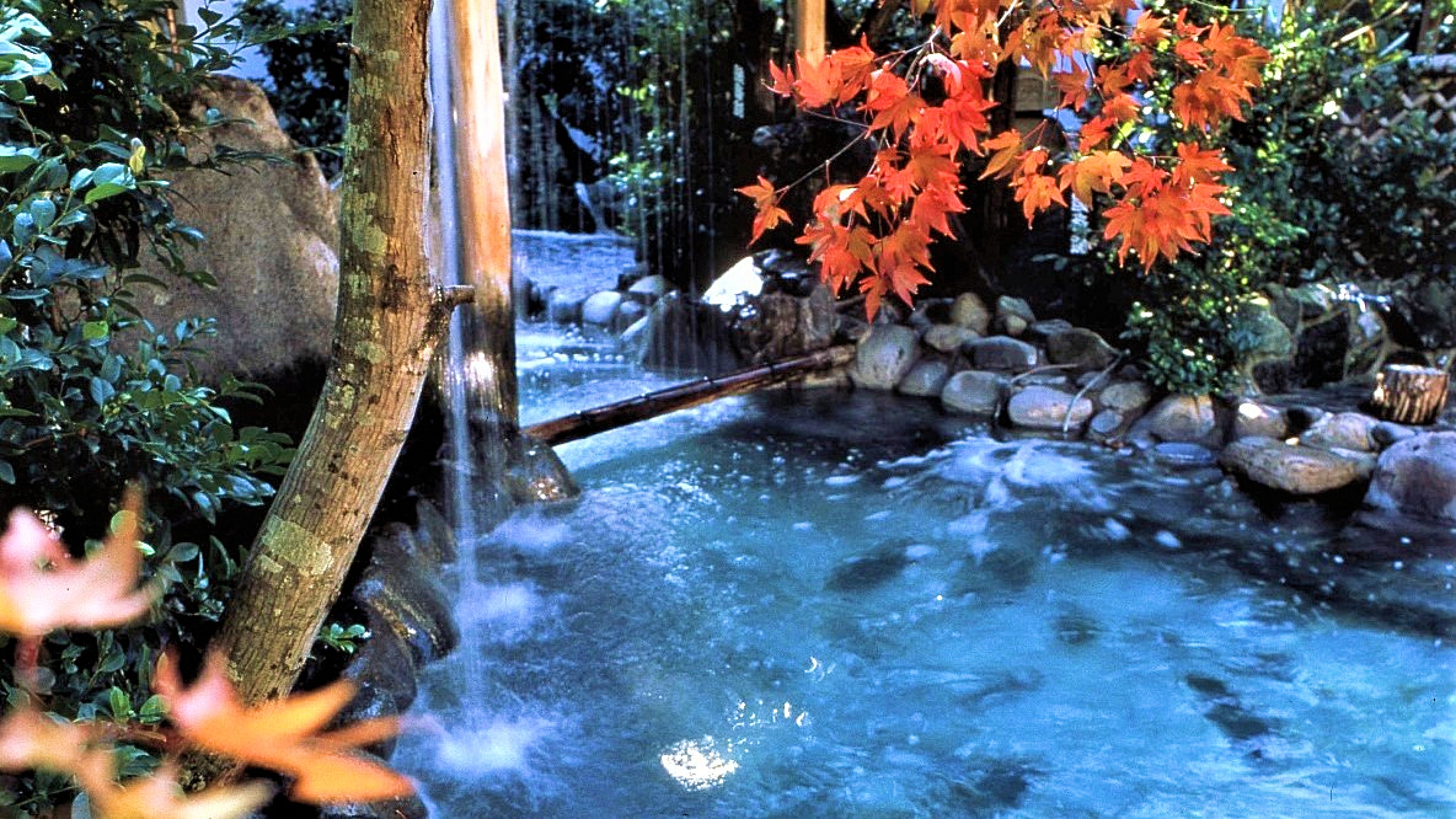 秋の大浴場　露天風呂の庭園も色づきます