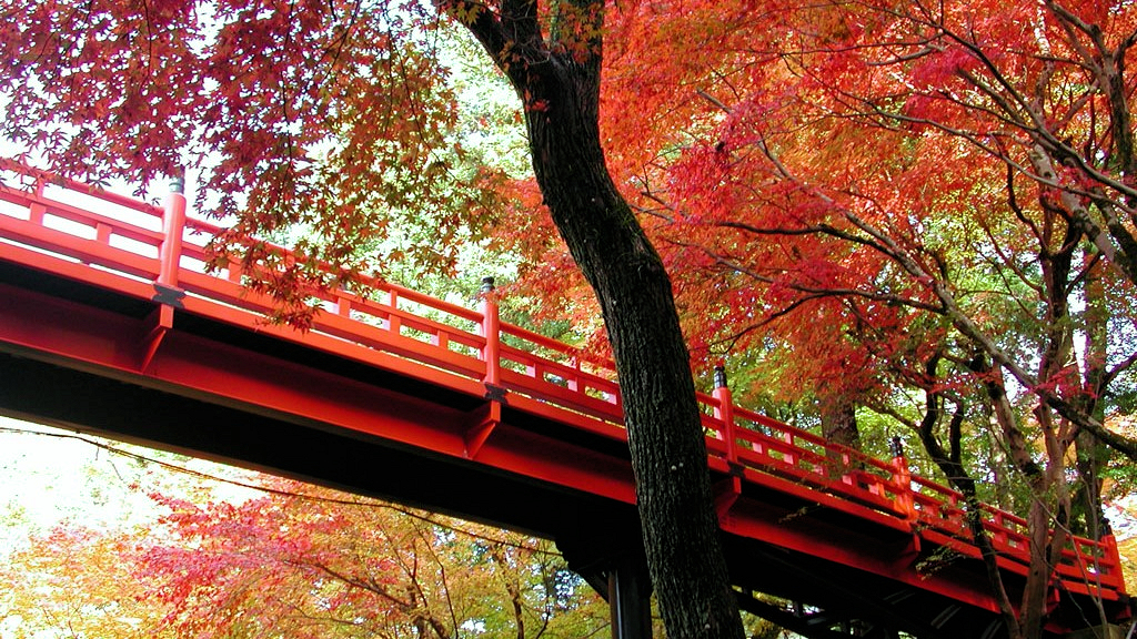 【兵庫県養父市】養父神社