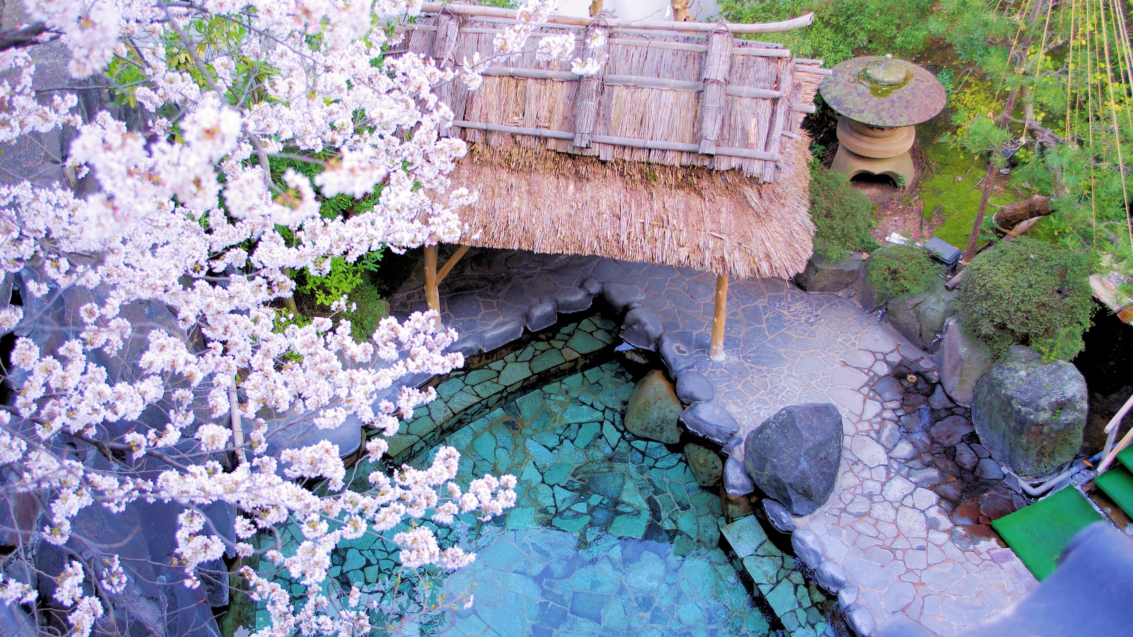 満開の桜の中で入る朝野家自慢の露天風呂-織姫