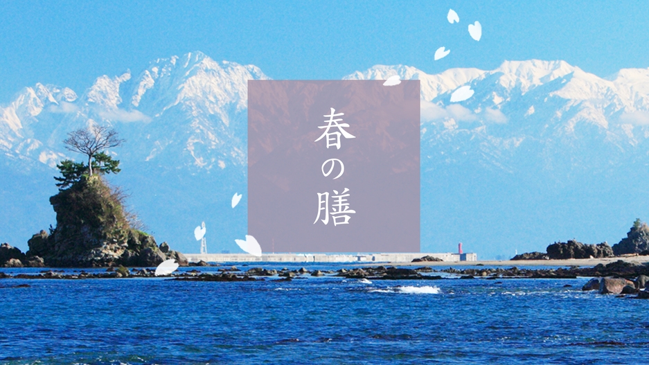 【期間限定】富山湾のホタルイカと白えび「春の膳」