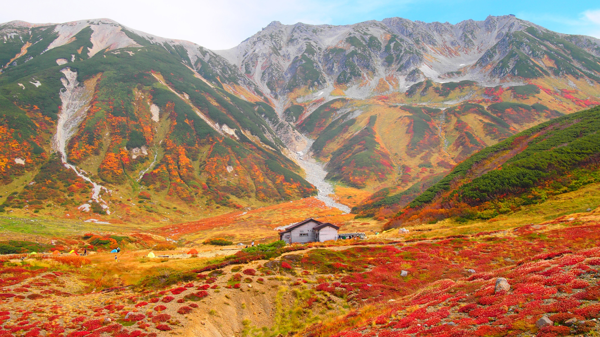  【立山黒部アルペンルート】紅葉シーズン（9月中旬～10月下旬）