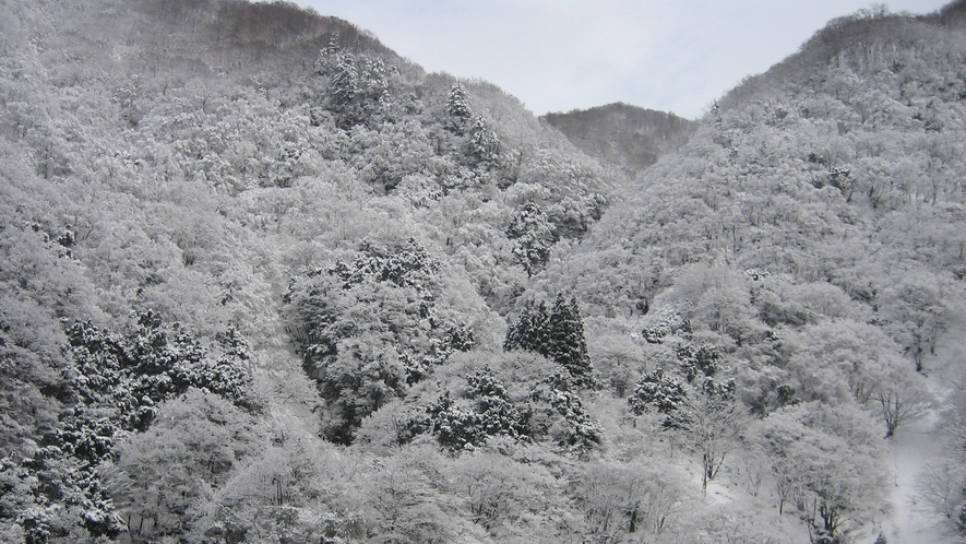 【琴音の湯】黒部峡谷のダイナミックな景色をご覧いただけます。