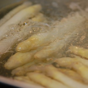 White Asparagus Bransil