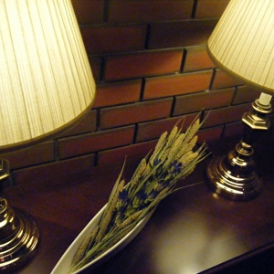 メイン料理の量を半分に控えた「シニア限定プラン」