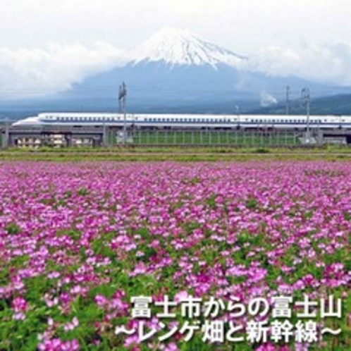 ■富士市からの富士山　東部市民プラザからのレンゲ畑＆新幹線（お車で２０分）