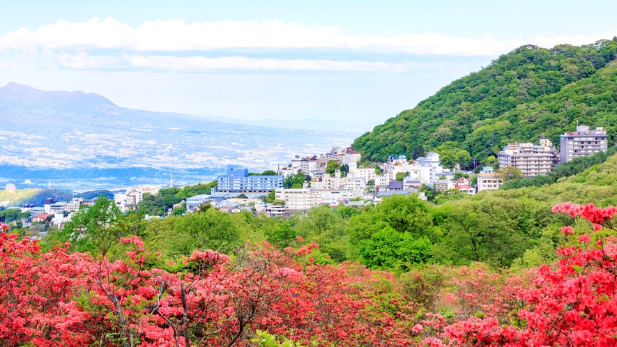 ■その他■周辺・観光＜ある日の風景＞