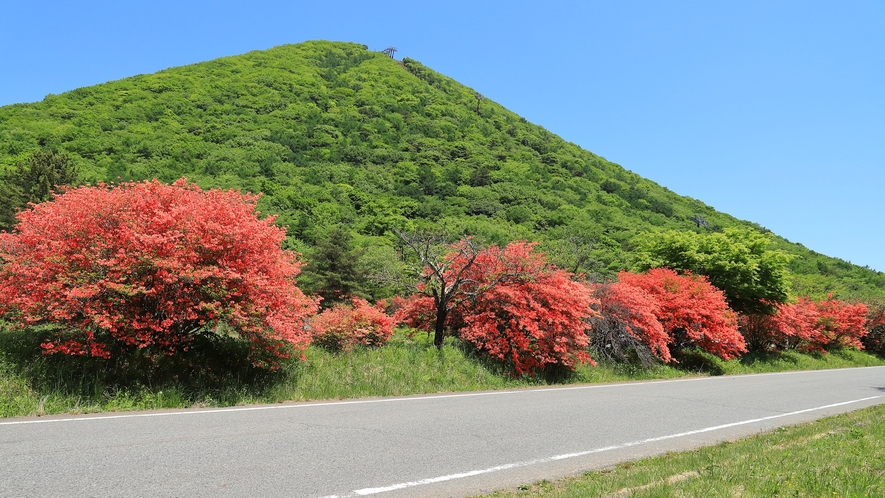 ■その他■周辺・観光＜ある日の風景＞