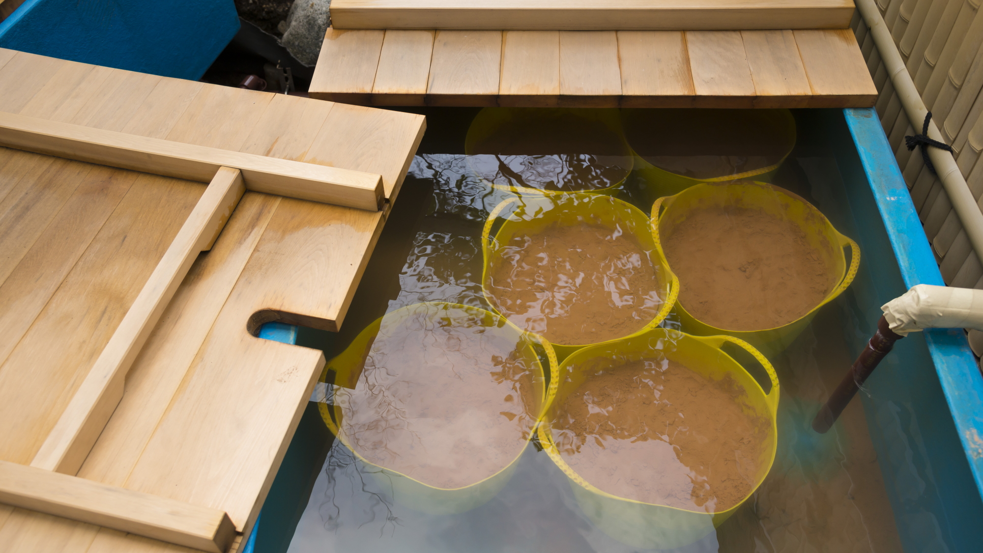 ビオファンゴ「生きている泥」