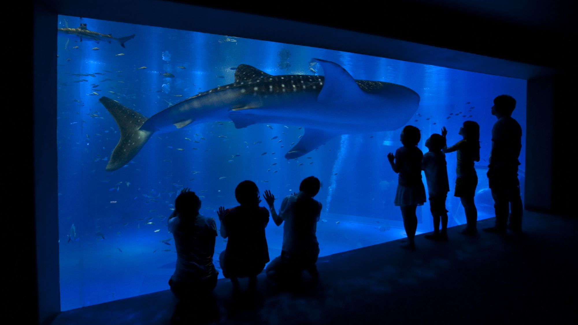 のとじま水族館