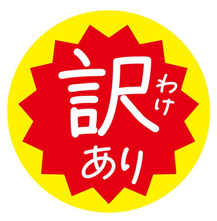 訳ありプラン（シャワー利用のみ）