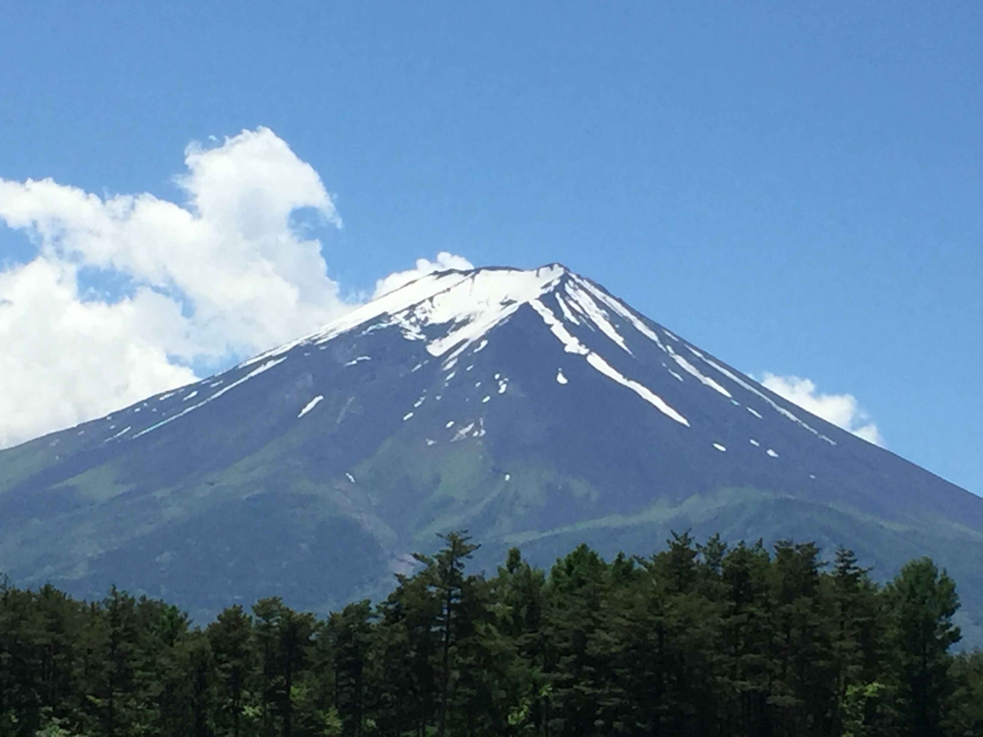 敷地内から見える富士山