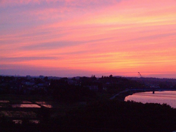 View from the riverside room
