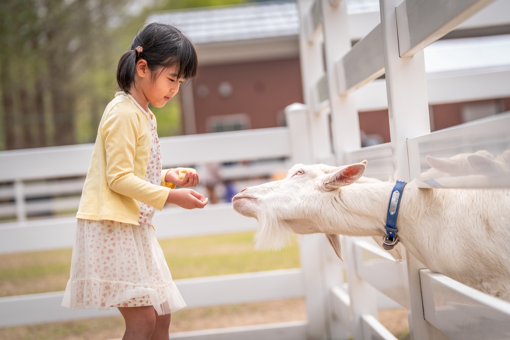 【樽ヶ橋遊園】まるごと満喫ステイ【入園チケット付き！】