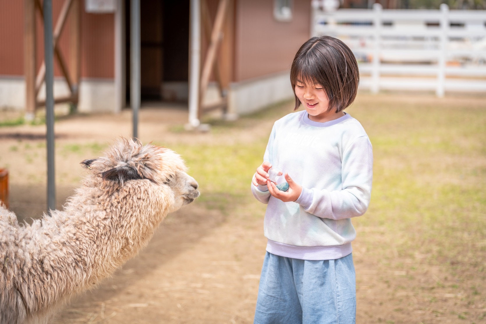 【樽ヶ橋遊園】まるごと満喫ステイ【入園チケット付き！】