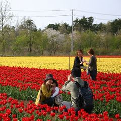 *【春】きっと思い出の一枚が撮れます