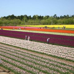 *【春】カメラを忘れずに